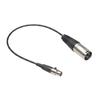 geneX Audio Cable, Mini XLR 3-Pin Female To XLR 3-Pin Male, Compact and Lightweight, 0.3m, Zinc Alloy Casing, Full Copper Casing