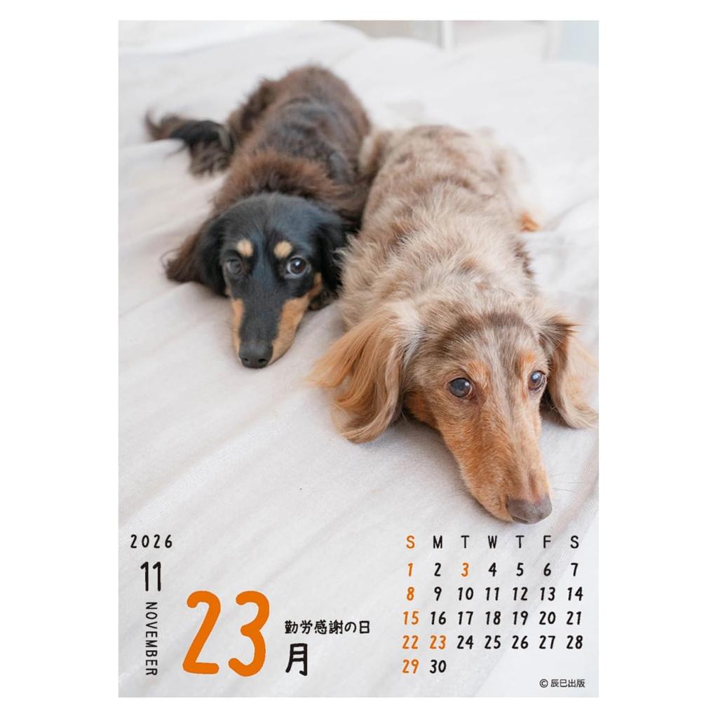 Календарь 2026 Один!! кувырок