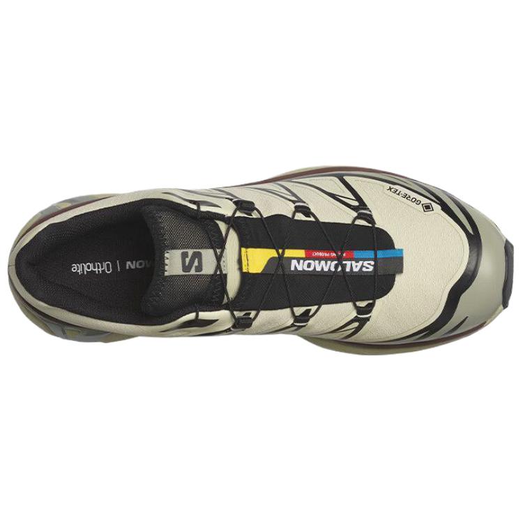 SALOMON Кроссовки унисекс XT-6 GORE-TEX Aspargus Green Tea Chocolate L49202200