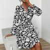 Women's A Line Dress High Waist V Neck Long Sleeve Lace Up Printed Fashion Spring Autumn
