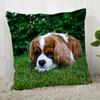 Pillowcase Cocker Spaniel  Modern Home Living Room Decoration