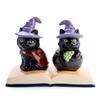 Flavour Mates Salt & Pepper Set (Black Cats)