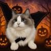 Felt Cloth Halloween Cat Costume Adjustable Soft Cats Bat Wing Polyester Cosplay Clothes Halloween Party Supplies