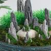 Yardwe 8 шт. Миниатюрный рокарий из смолы, Аксессуары для японского сада и бонсай для микроландшафта, Декор для сада в стиле дзен, Горшок для растений, Террариум