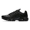 Air Max Plus TN Тройной черный Мужские кроссовки Черный-Черный AJ2029-001