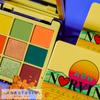 Anastasia Beverly Hills Abh Mini Norvina Vol. 2