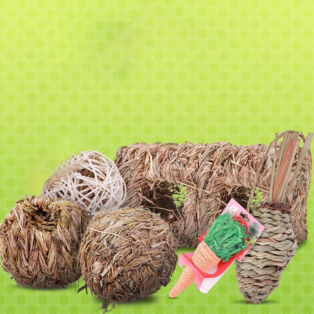 Lovely Grass Carrot Grinding Toy for Small Pets Hamster Squirrel Guinea Pig Rabbit