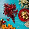 Dodonaea Viscosa Композиция из сухоцветов для декора дома и офиса