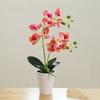 Яркая искусственная орхидея бонсай в горшке Real Touch искусственная орхидея цветочный сад украшение дома