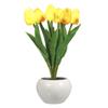 Tulip Lamp Indoor Decorative Table Lamp Flower Pot Lamp Ambient Night Light Gift Potted Plant