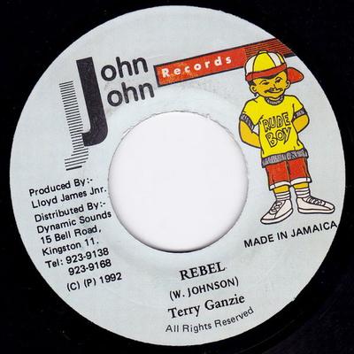 7-дюймовая пластинка TERRY GANZIE - Rebel NONE John John Recor 1992 Ямайка Регги, Ска и Даб Б/У