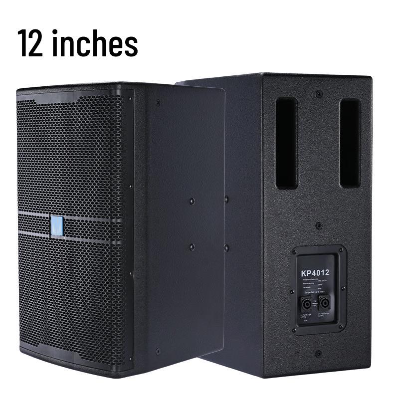 CTRLPA Профессиональная акустическая система полного диапазона