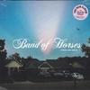 Виниловая пластинка BAND OF HORSES - Things Are Great 538706311 BMG 2022 США и Канада Рок