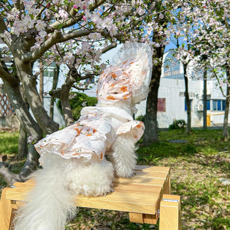Luxury Floral Dog Costume Dog Dress and Hat Set Chihuahua Dog Clothes Small Dogs Bichon Clothing Female Dog Dresses Cat Skirt