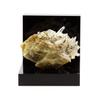 Stones and Minerals - FOR JEWELRY - Siderite, Quartz, Pyrite - 388.3 Ct - Mésage Mine, France - Rare