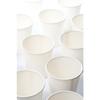 2 Oz Paper Cups (plain White, 60cc) 100 Count