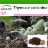Mastic Thyme - 250 семян - С горшечным субстратом для лучшего выращивания - Thymus mastichina