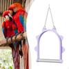 Parrot Swing Hanging Toy Chewing Perch Cage Accessory for Black Small Sized Birds Tiger