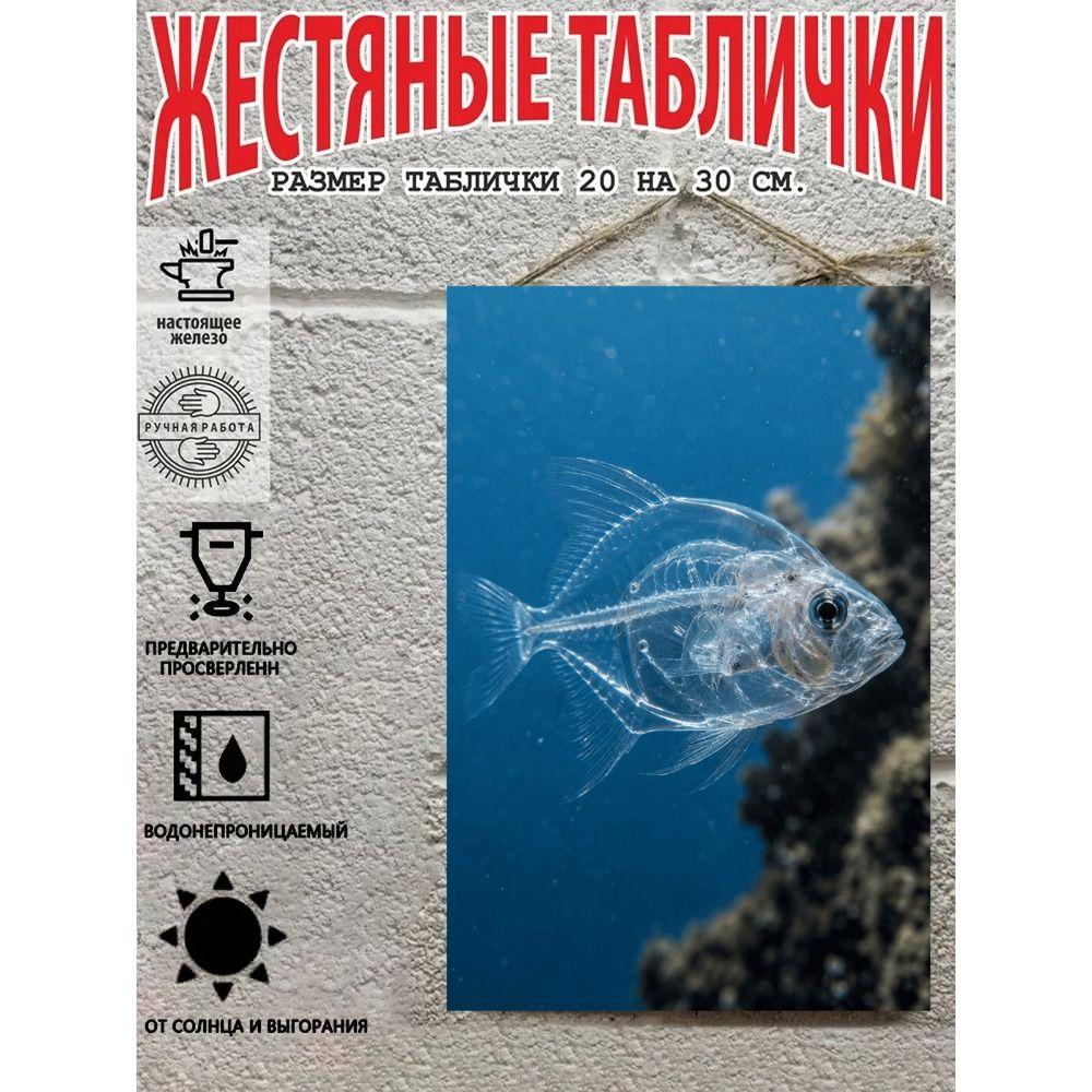 Металлические Настенные Знаки, Коллекция Морских Существ, Декор Комнаты, 20x30 см