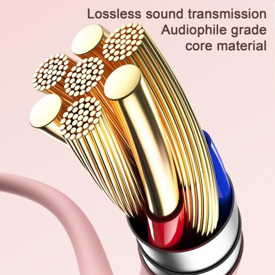 Проводные наушники Удобная изоляция Звук Hi-Fi Внутриканальные Шумоподавление Тяжелый бас Чувствительный динамик Type-C