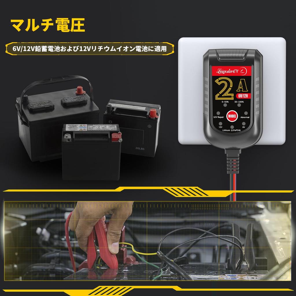LeicesterCNL LST Charger for 6V and , Charger, Bad Identification, 72-Hour