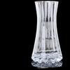 Elegant Transparent Cylindrical Glass Vase