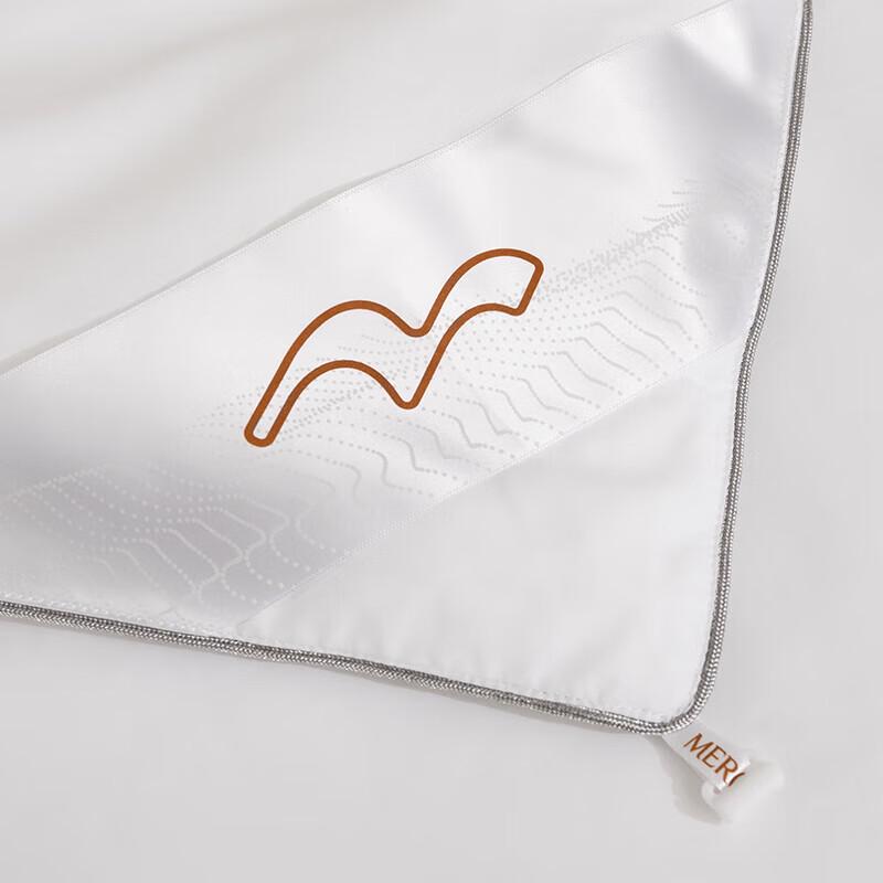 Mercury Home Textiles Antibacterial Mulberry Silk Quilt with 60s Cotton Cover