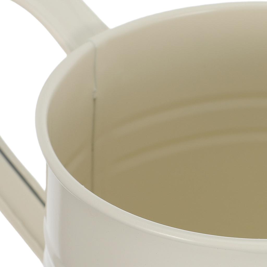 Lightweight Iron Watering Can with Comfortable Handle and Fine Sprinkler Nozzle for Houseplant Care Flower Watering Garden