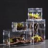 Anti-Escape Reptile Habitat Clear Spider Feeding Case Durable Lizard Breeding Box  for Chameleon
