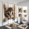 Набор из 4 предметов: Занавеска для душа для ванной комнаты с рисунком котенка, занавеска для ванной комнаты с 12 крючками, нескользящие коврики, коврик для крышки унитаза, перегородка для ванной комнаты