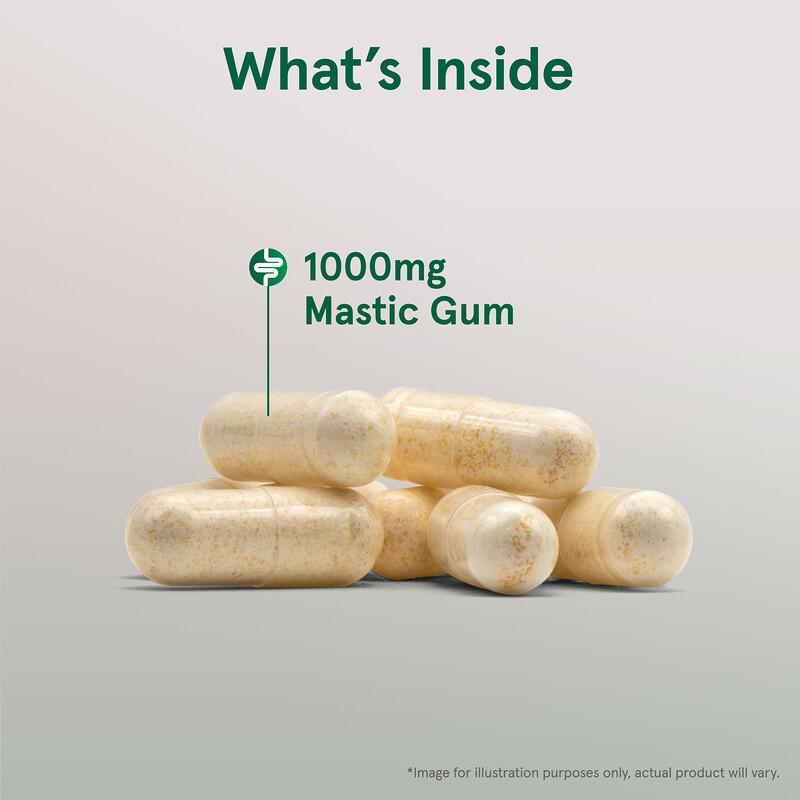 Vegan Mastic Gum, 60 Veggie Capsules (500 mg per Capsule)