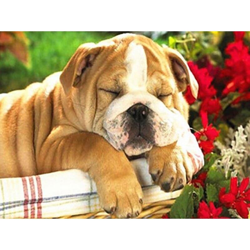 Новый 5D DIY алмазная живопись собака цветок Алмазная вышивка животное вышивка крестиком полная круглая дрель домашний декор ручной художественный подарок