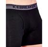 Icebreaker Anatomica Fly Boxer Briefs