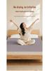 Smart Electric Heating Blanket with Dual Control & Dehumidification for Home - Dust Mite Removal, Water Heating, Constant Temperature