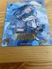 [USED] Project Sekai Hinomori Shizuku CD Bonus Trading Card Secret Foil Stamp