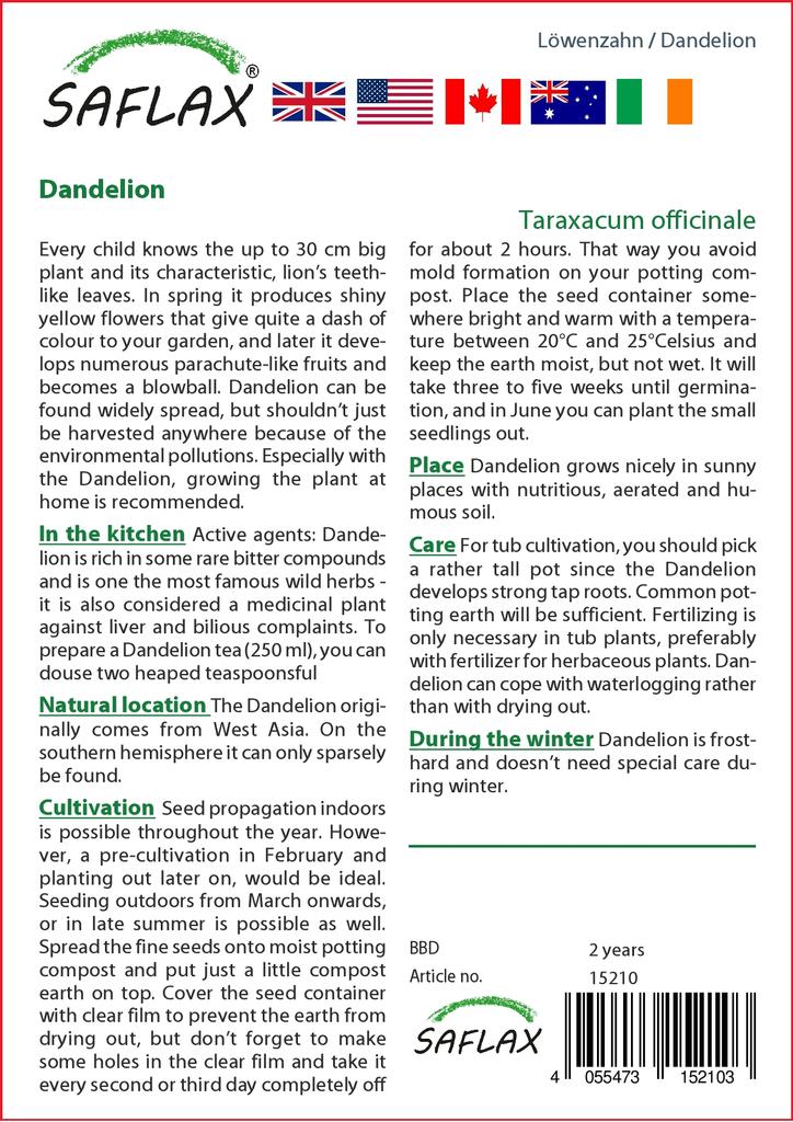 SAFLAX Garden in the Bag - Одуванчик - 200 семян - С субстратом в подходящем пакете - Taraxacum officinale