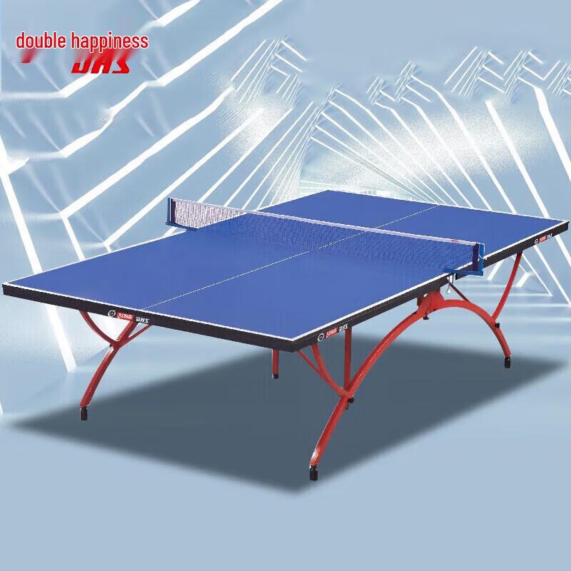 DHS Professional Indoor Table Tennis Table
