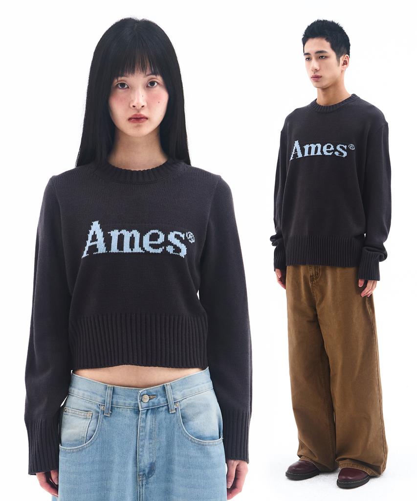 AMES-WORLDWIDE Basic Pullover Knit Charcoal