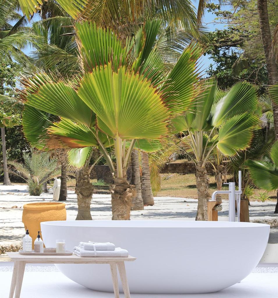 Wallpaper Palm trees on a tropical beach