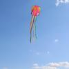 Orange 3D 3D Kite 4m Giant Soft Kite Factory Outlet Children Flying Kite  Family Interaction