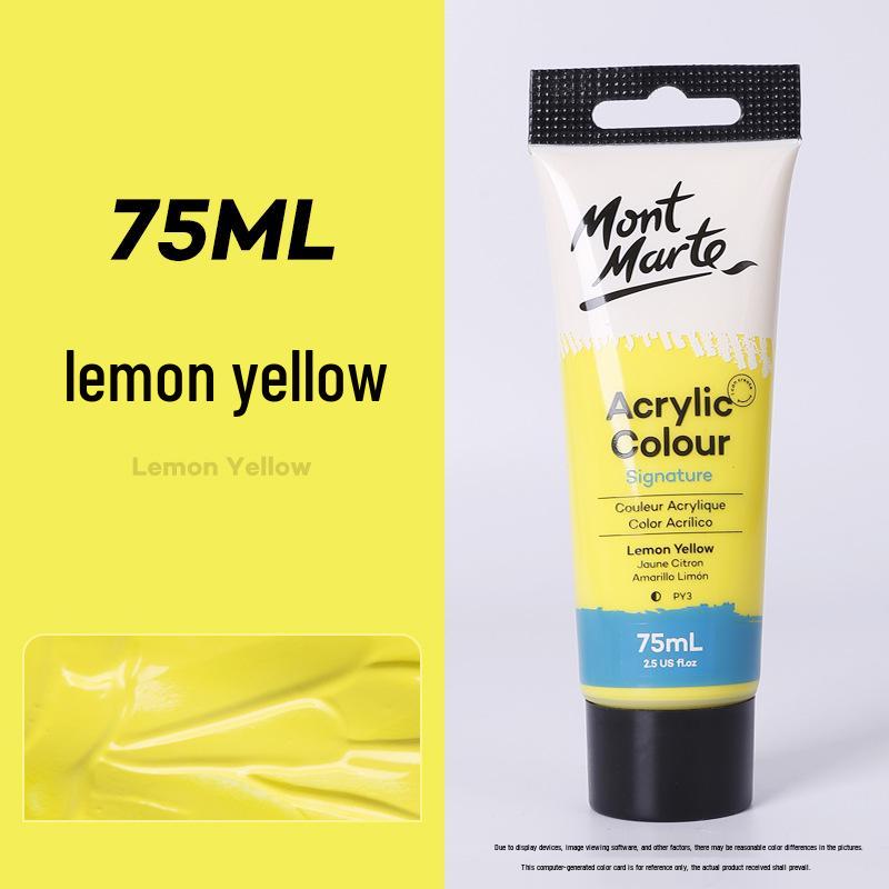 Montmartre 75ml Waterproof Non-Fading Acrylic Paint Set: Perfect for Children’s Textiles and Art Projects, Sunscreen Formula