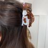 Headwear Acetate Hair Claw Cartoon Bird Shark Clip Fashion Animal Hair Clip  Daily