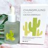Bogeum Cactus Ampoule Essence Увлажнение и увлажнение для проблемной, жирной, комбинированной и чувствительной кожи с акне и сухой кожей