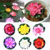 18cm Water Lily DIY Home Outdoor Decor Lotus Flower