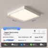 "Walnut Ceiling Lamp - Full Spectrum Eye Protection for Living Rooms & Bedrooms"