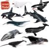 Набор игрушек для морских животных, пересекающих границу: Фигурки кита, акулы, косатки, белухи