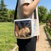 Breathable Pet Travel Bag Cooling Lizard Outdoor Bag Lightweight Hamster Carrying  Pouch  Vet Visit