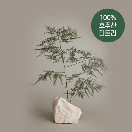 Paul Mitchell Специальный шампунь с экстрактом чайного дерева 500 мл (Продление)