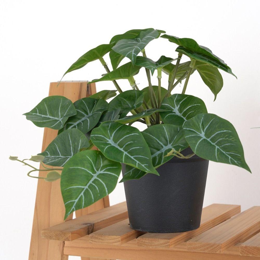 Тропические растения Зеленые растения в горшках Большая шелковая черепаха спина Бамбуковые листья Декор для свадебной вечеринки