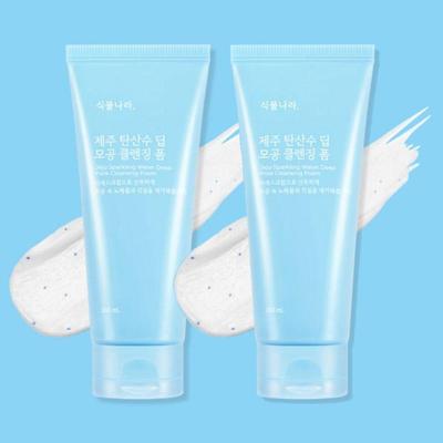 Очищающая пенка Jeju Sparkling Water Power Whip 120 мл * 2 шт.